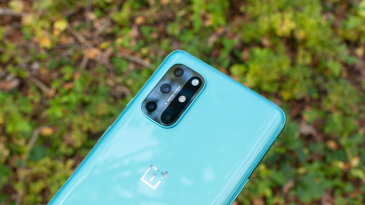 Maybe comes the OnePlus 9 Lite with last year’s Snapdragon 865 chipset