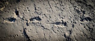 The footprints belonging to Australopithecus afarensis were found at Laetoli, in Tanzania.