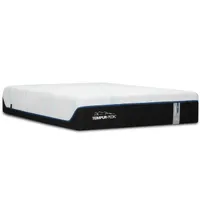 3. Tempur-Pedic Previous Generation Tempur-LuxeAdapt (twin long)