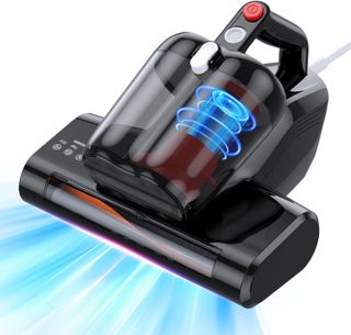 steam cleaner