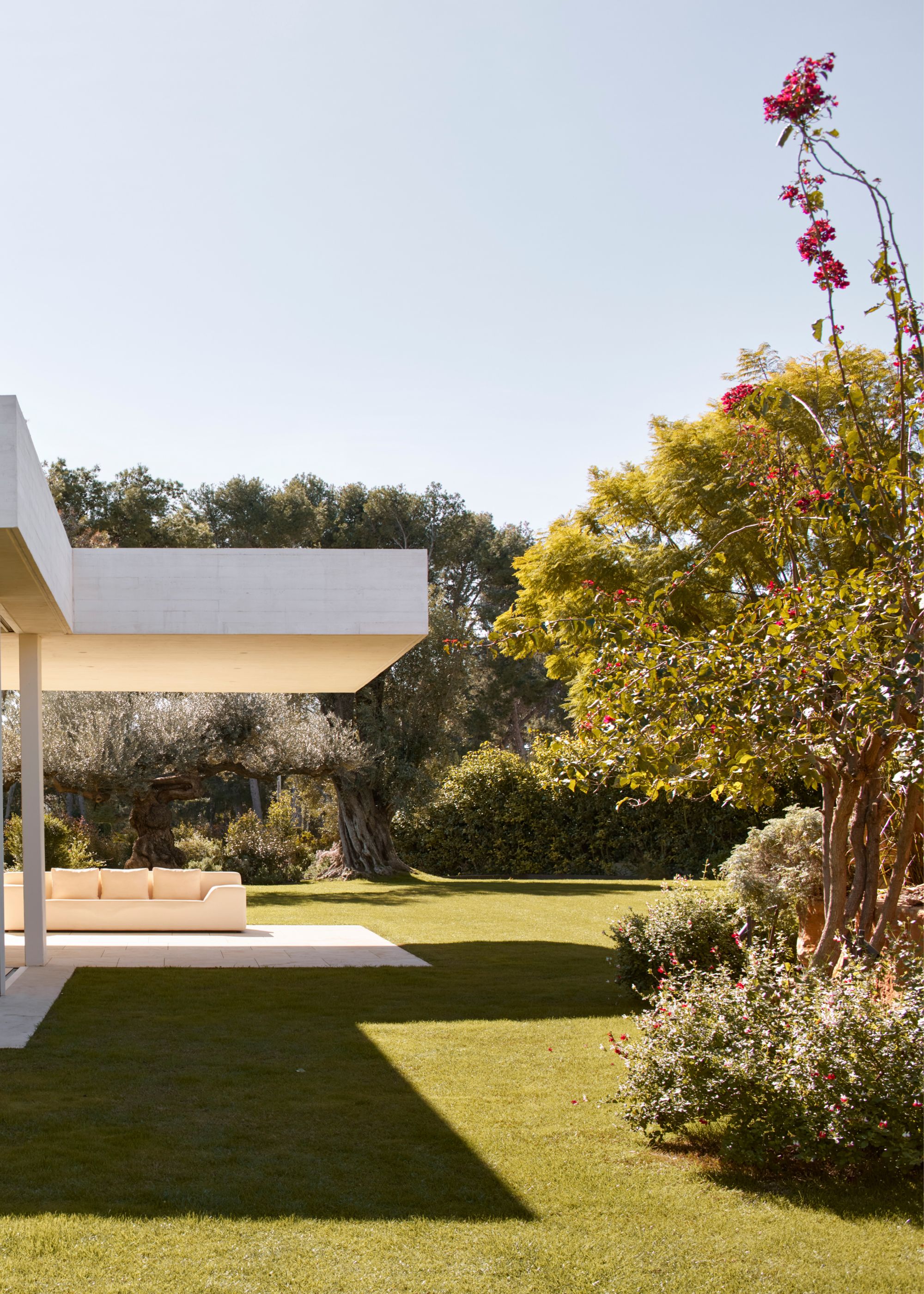 A vast green garden with a white couch in an outdoor living room