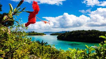 Ishigaki Island