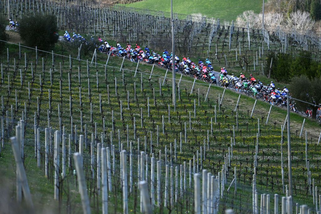 SAN BENEDETTO DEL TRONTO ITALY MARCH 12 A general view of the Peloton passing through passing through a vineyards field during the 58th TirrenoAdriatico 2023 Stage 7 a 154km stage from San Benedetto del Tronto to San Benedetto del Tronto UCIWT TirrenoAdriatico on March 12 2023 in San Benedetto del Tronto Italy Photo by Tim de WaeleGetty Images