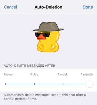 The auto deletion option in Telegram