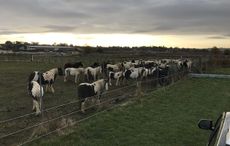 Leicestershire2.jpg