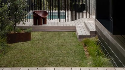 a small patch of lawn in a modern home