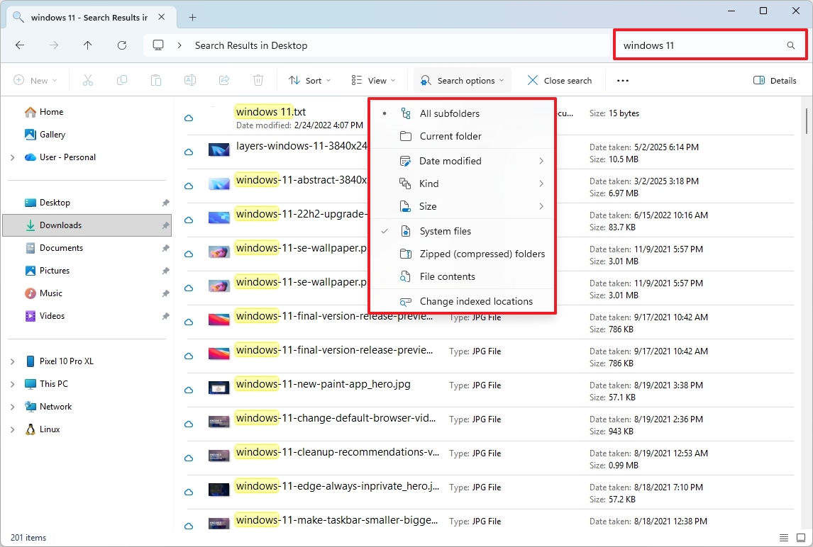 File Explorer search options