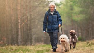 Woman walking dogs