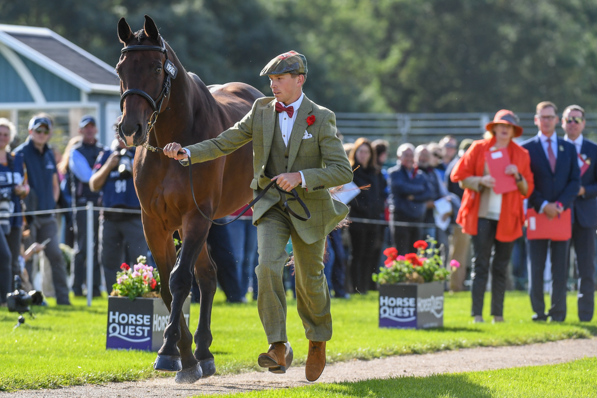 David Britnell_CONTINUITY_LRBHT_PN19_102693