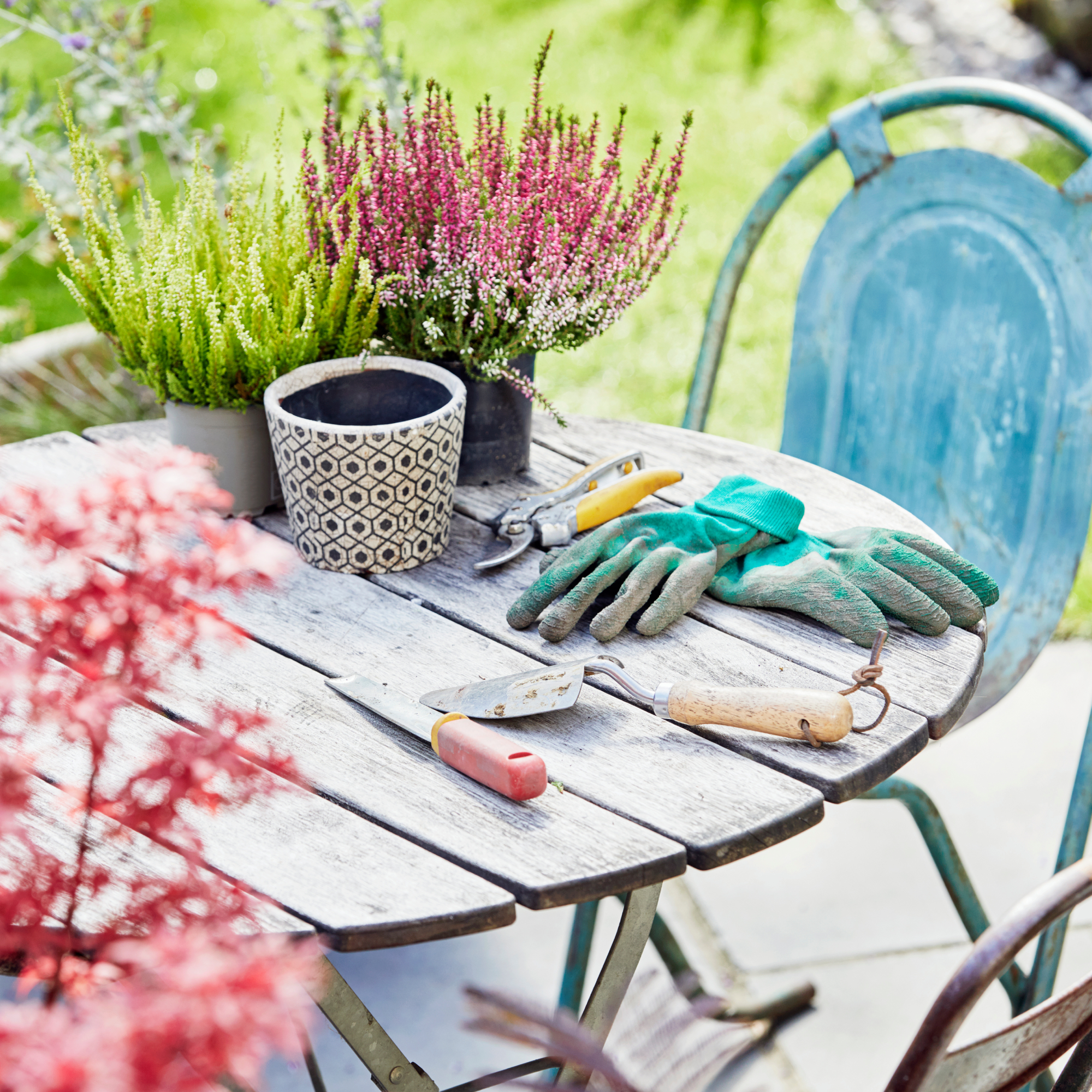 patio table with plants and tools on it 