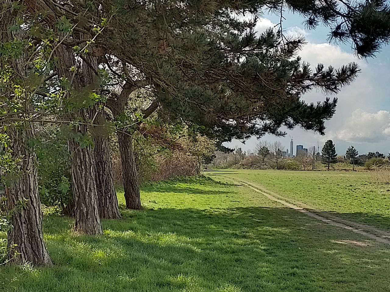 A Nokia G21 camera sample
