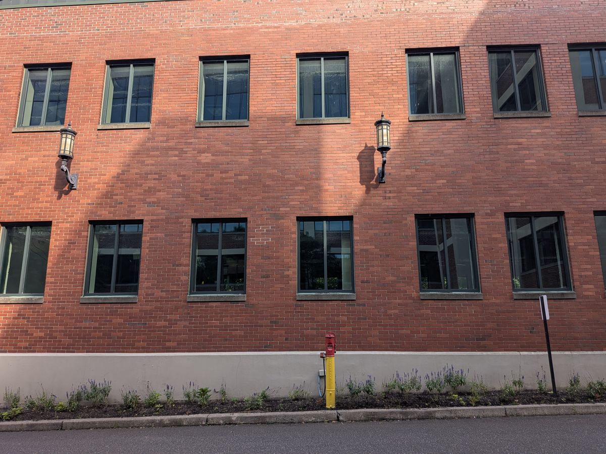 Google Pixel 9 Pro Fold camera image samples