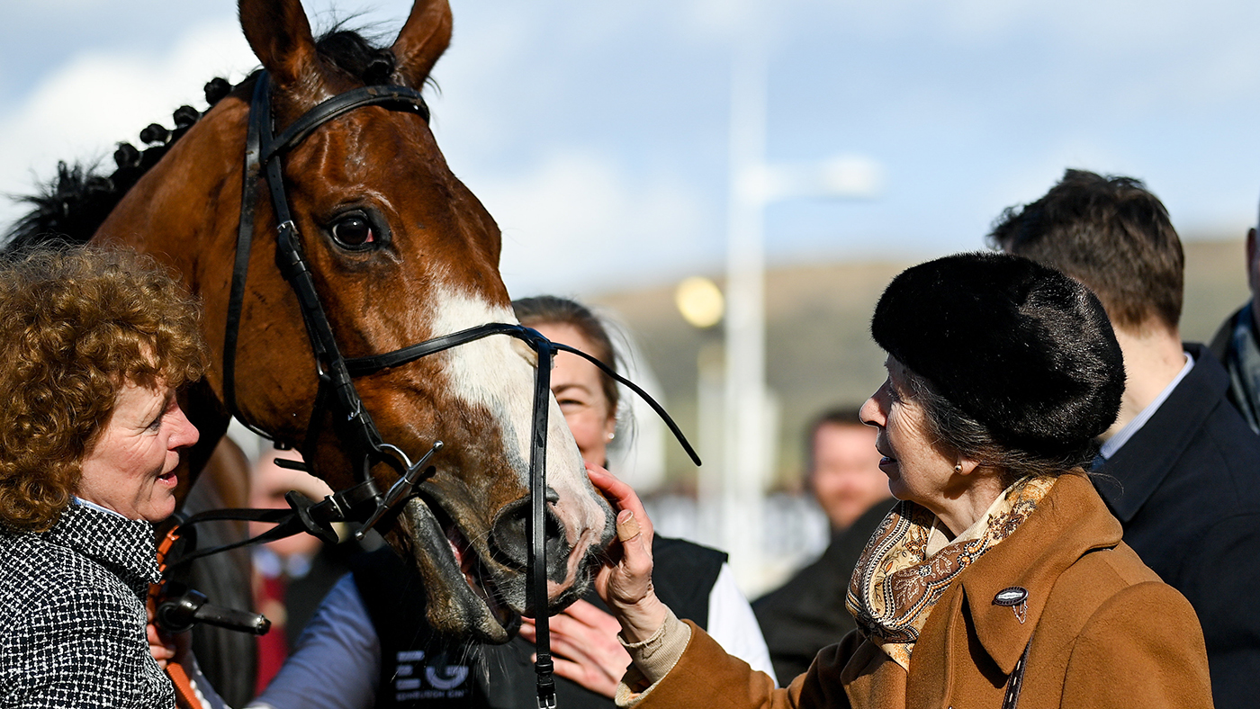 Cheltenham Racing Festival - Day One