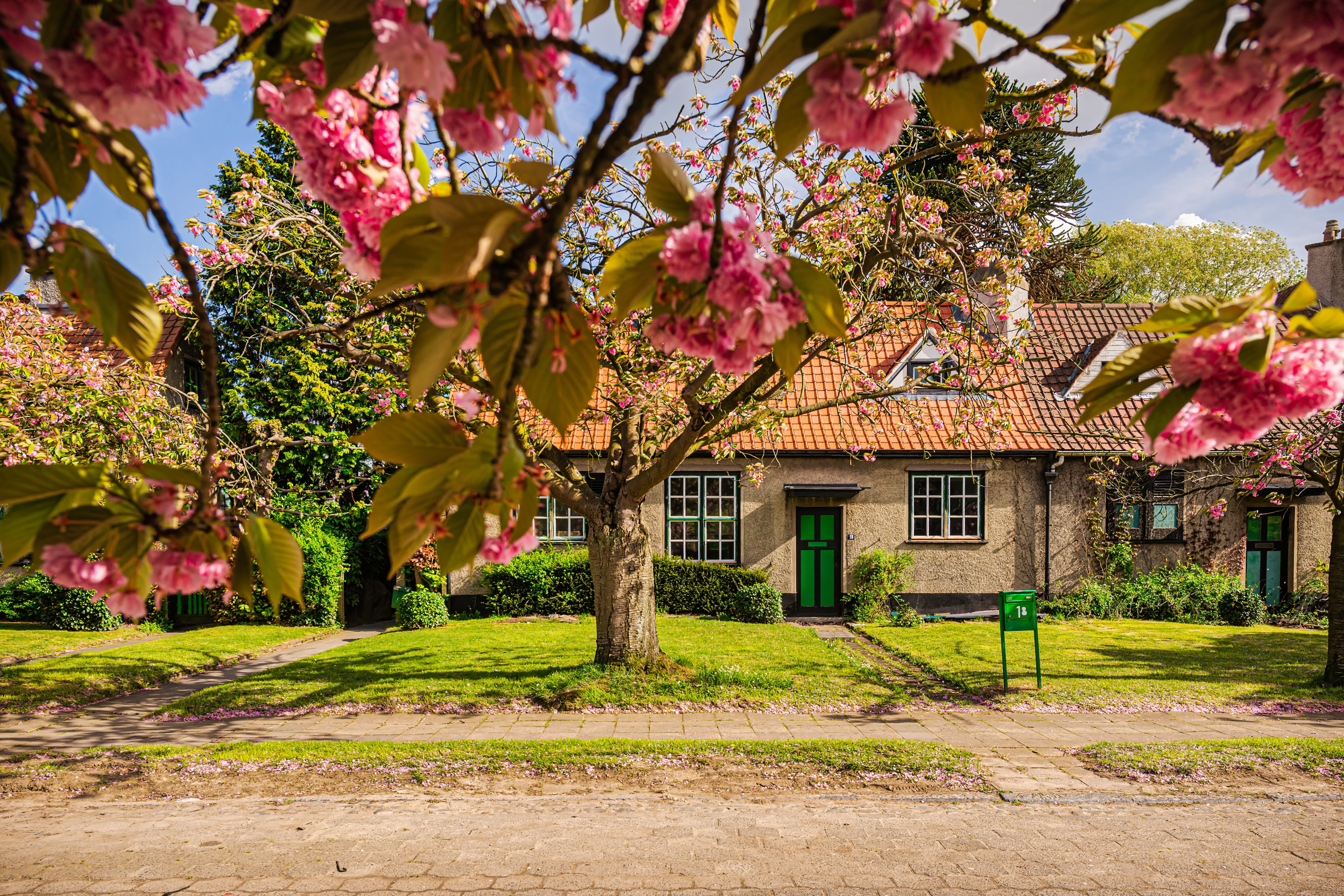 Front facade of a house in floreal/le logis