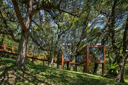 treehouse in brazil seen through the woods