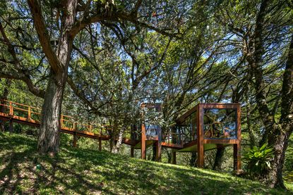 brazilian treehouse among trees