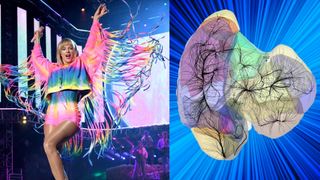 Spot the difference! (Left) "cosmological icon" Taylor Swift (Right) a map of the local universe 