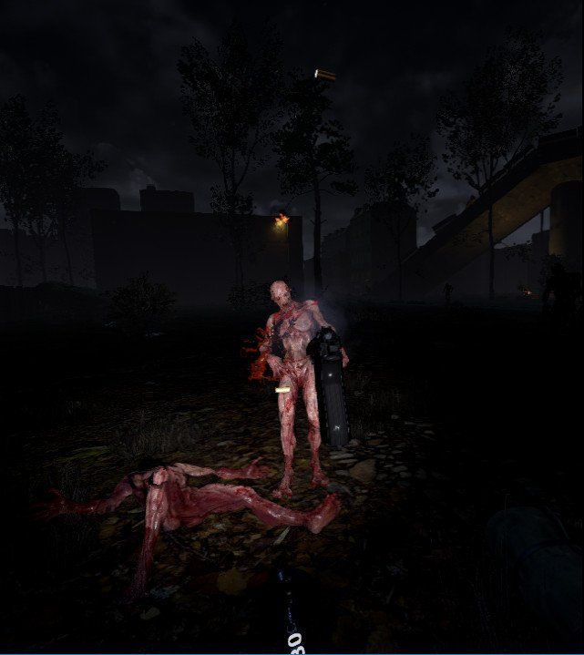 The Brookhaven Experiment