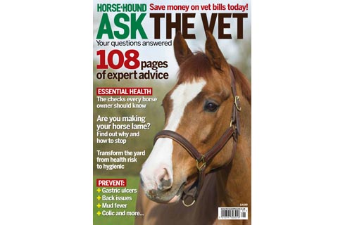 P001_HAH_VET01WEB.jpg