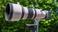 Canon RF 100-300mm f/2.8L IS USM lens against green foliage