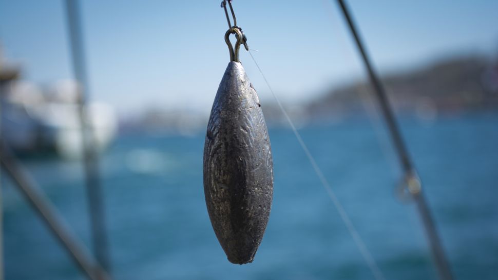 The best fishing weights: how to pick the correct sinker | Advnture