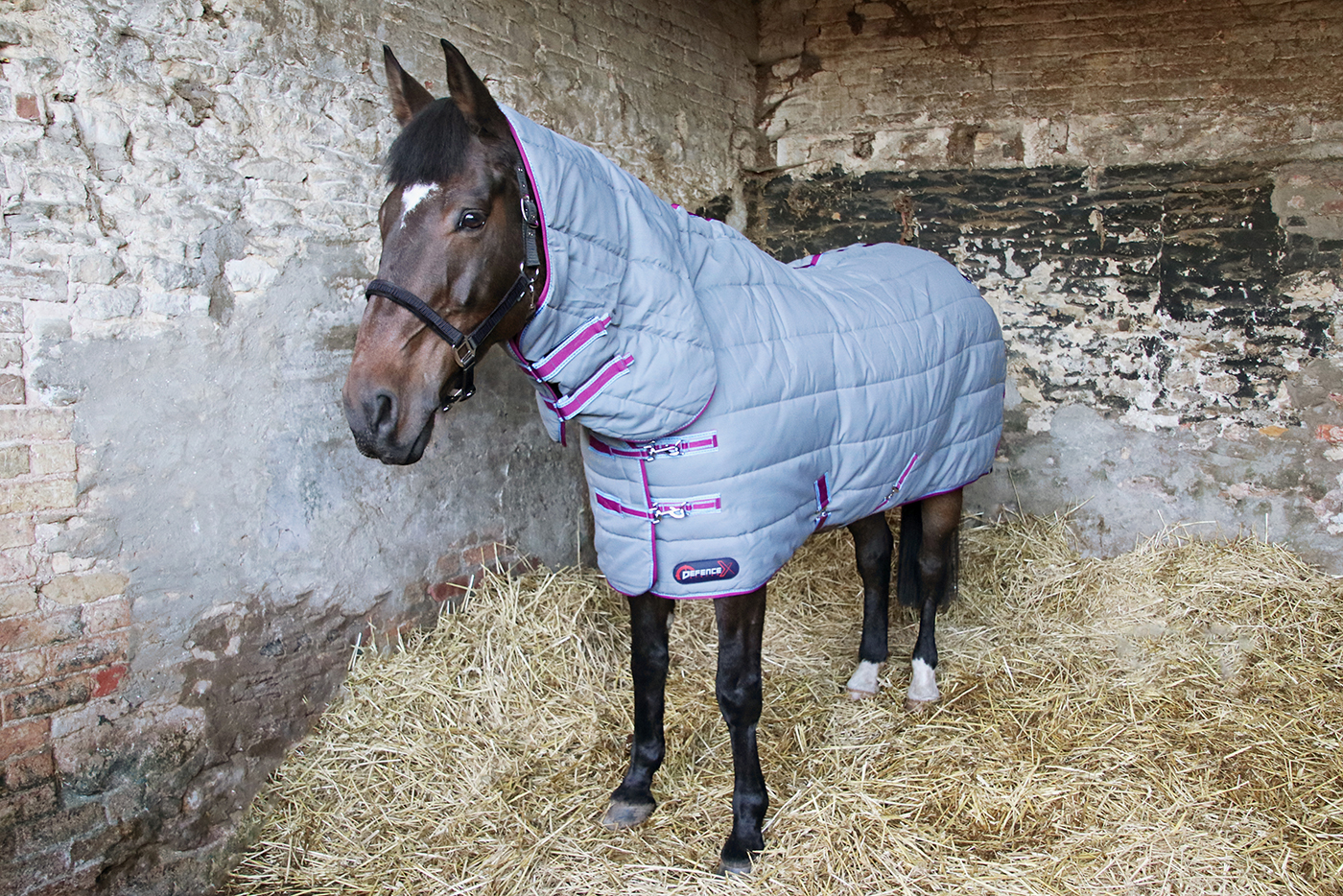 25549 - DefenceX System 300 Combi Stable Rug - Lifestyle - 01