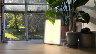 A Lumie Vitamin L Light Box lit up on a desk next to a variety of plants with a window in the background