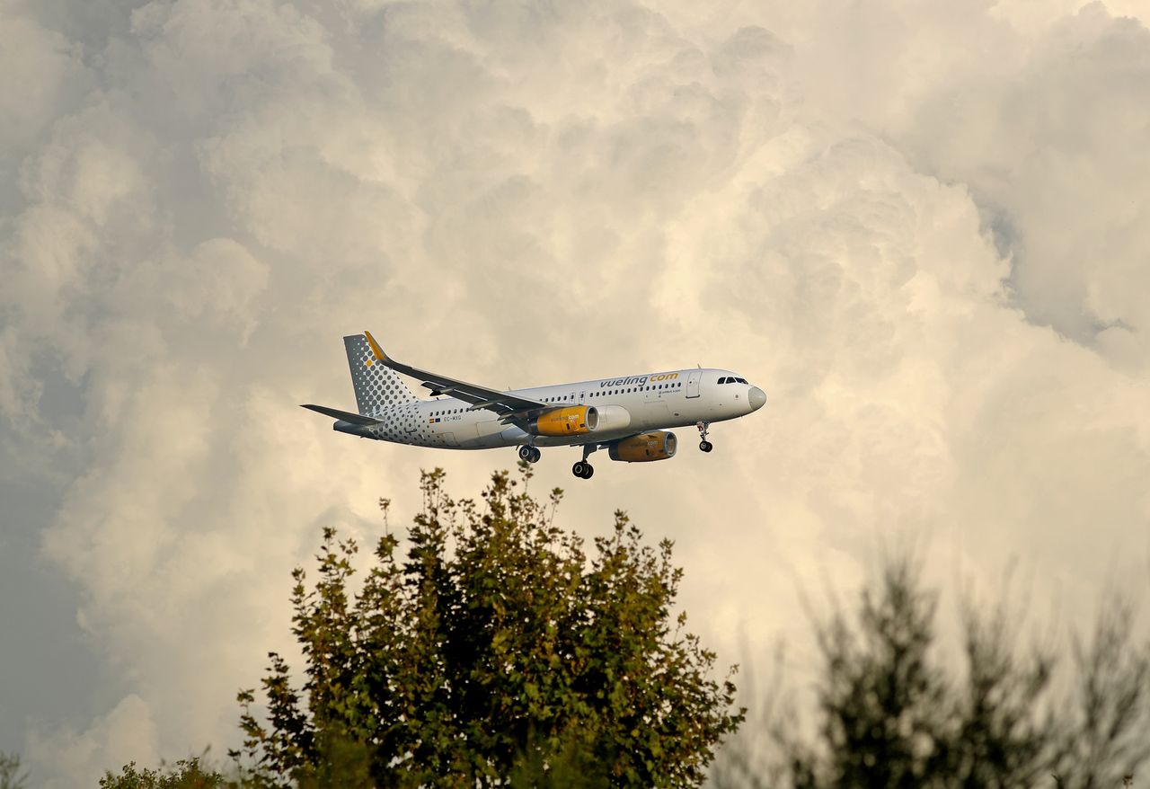 Vueling