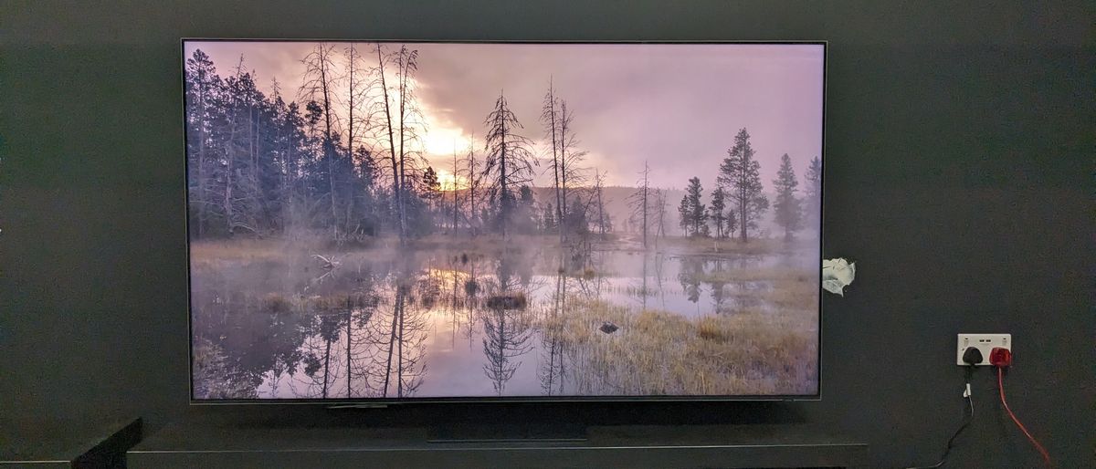 LG QNED91T with marsh on screen 