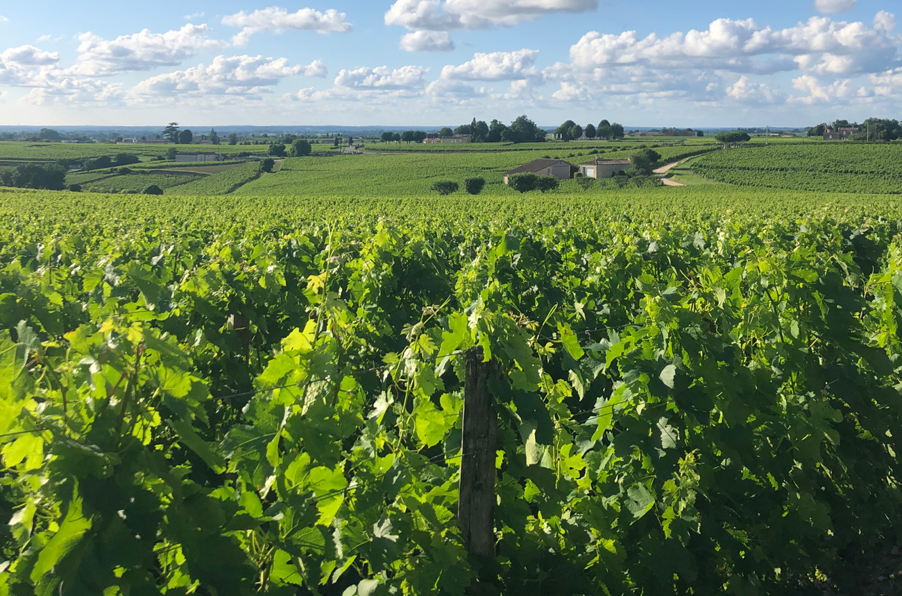 Ch&amp;acirc;teau Troplong Mondot