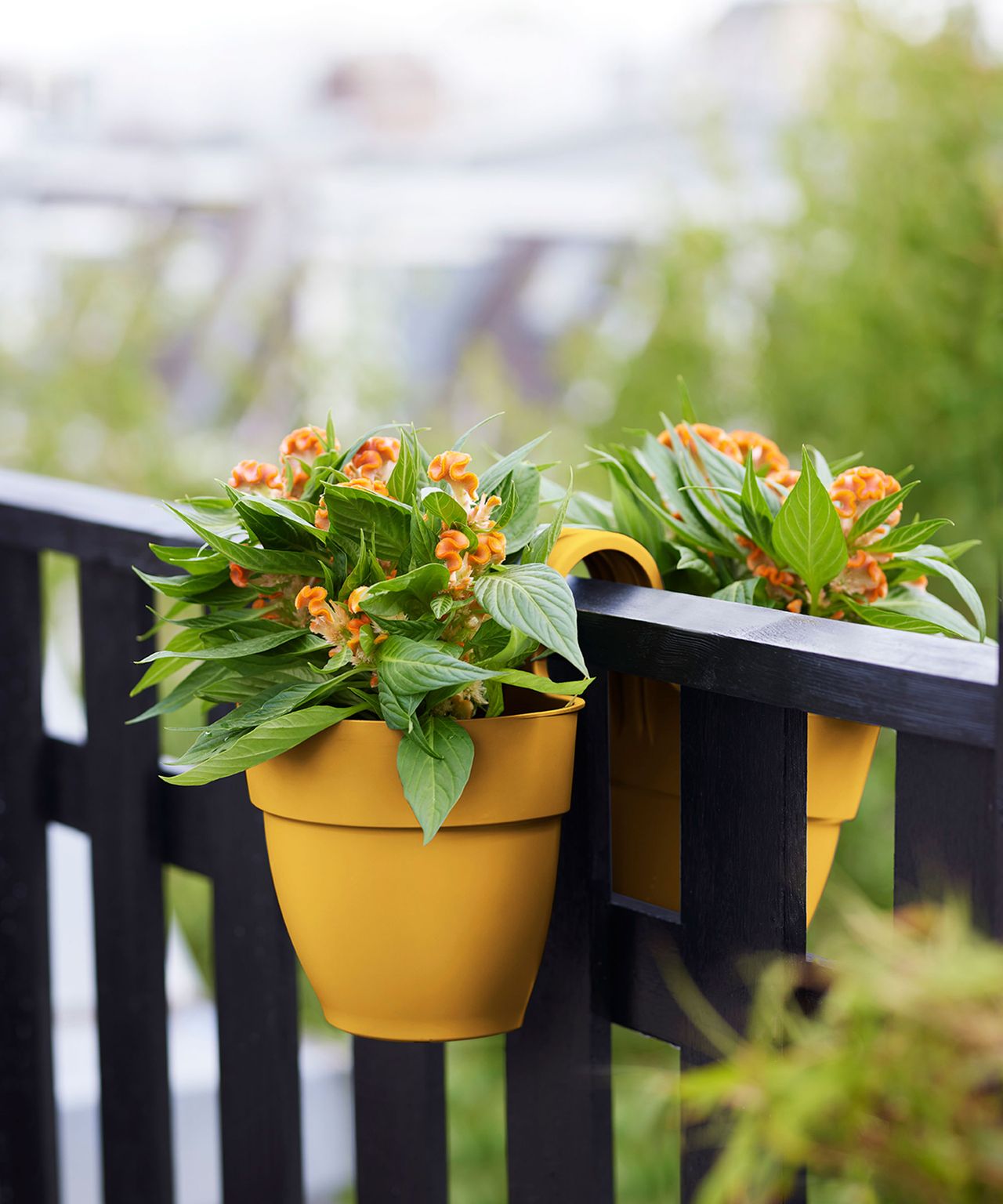 Wall railing ideas 12 stylish ways to top your garden walls Gardeningetc