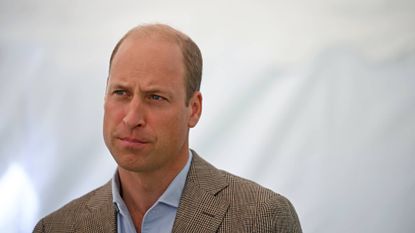 Prince William in the US