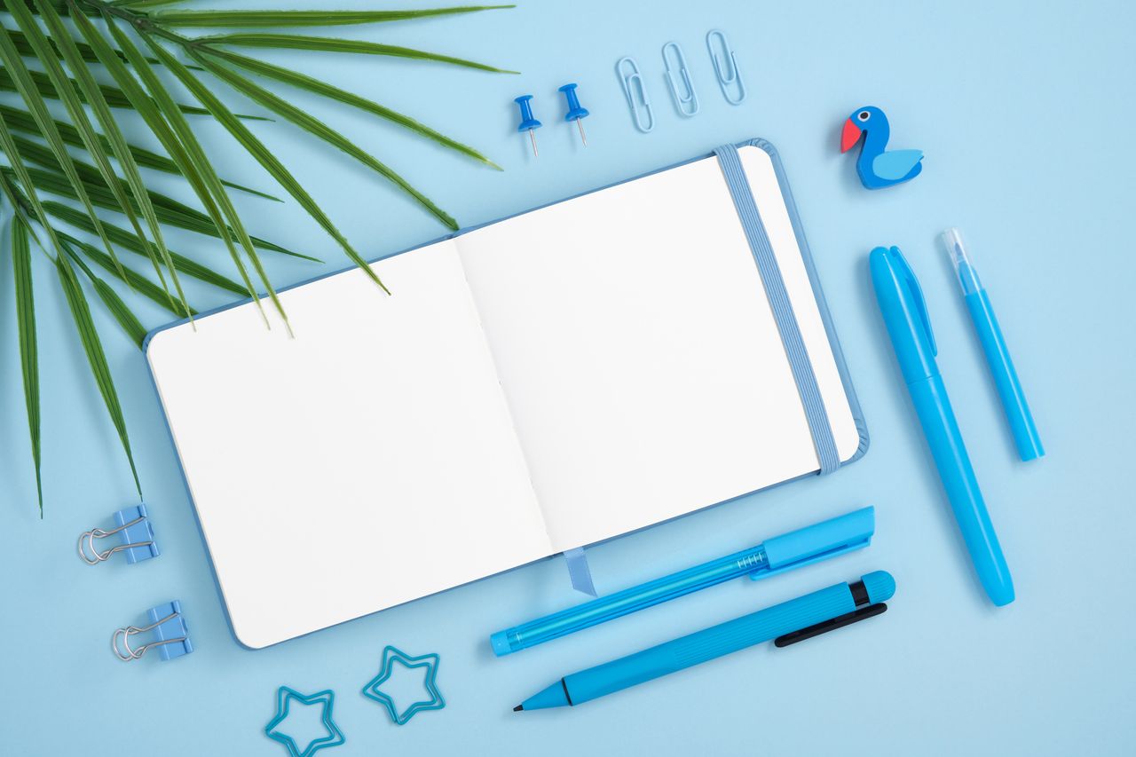 blue background with open blue notebook and pens with a palm frond on top