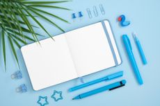 blue background with open blue notebook and pens with a palm frond on top