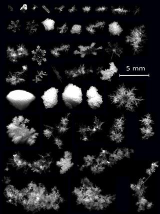 3D Photos of snowflakes falling in mid-air.