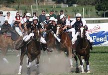 polocross.jpg