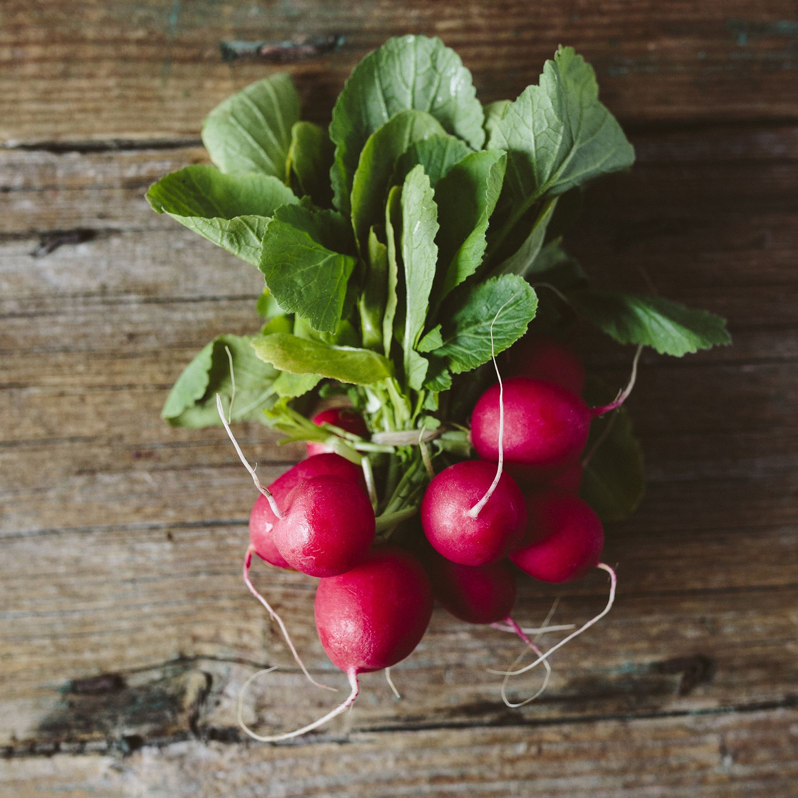 How to grow radishes Homes & Gardens