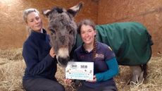 Flicka-Foundation-L-to-R-Henrieke-Freeman-Emma-the-Donkey-Charlotte-Main.jpeg