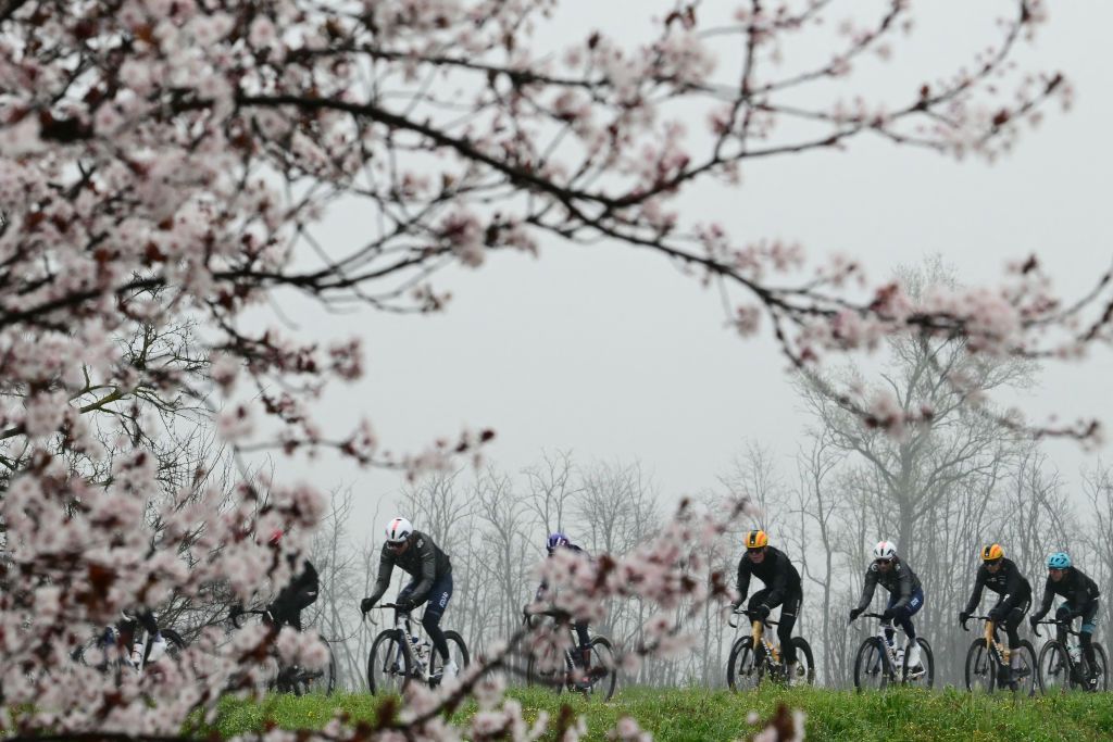 The pack rides during the Milan - Sanremo one-day classic cycling race, near Milan on March 22, 2025. (Photo by Marco BERTORELLO / AFP)
