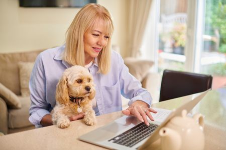 A mature woman and her dog browse the internet on her laptop.