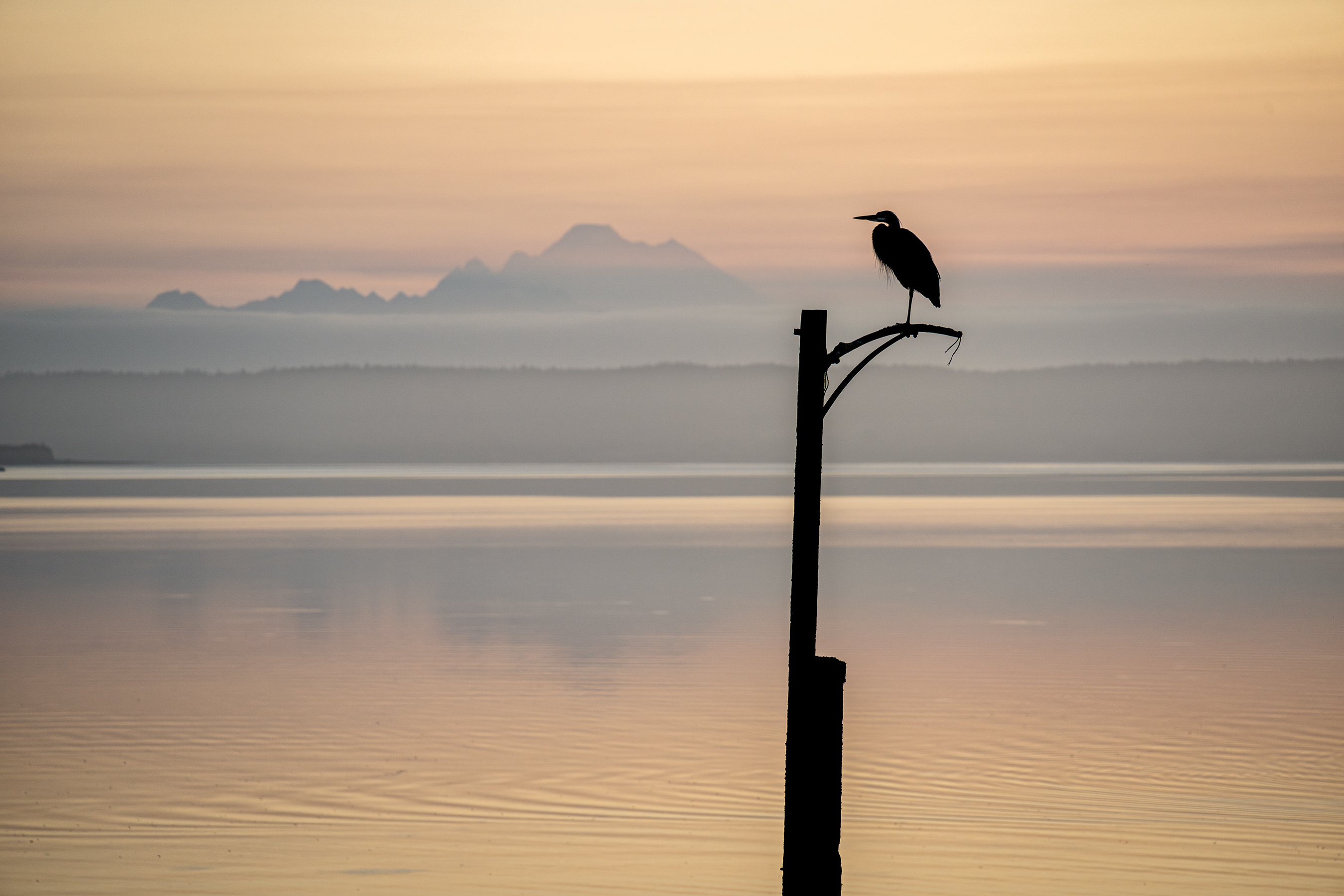 A sample image of a bird on a post with mountains in the background, taken with the Tamron 25-200mm f/2.8-5.6 DI III VXD G2