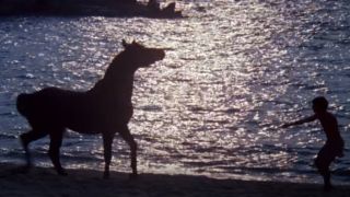 Silhouettes of Kelly Reno and the horse from The Black Stallion