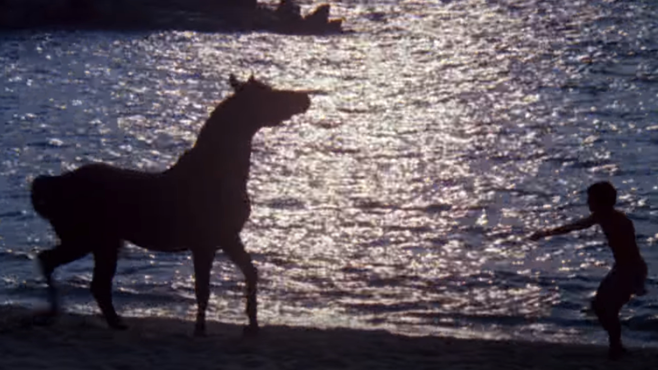 The Best Horse Movies And How To Watch Them