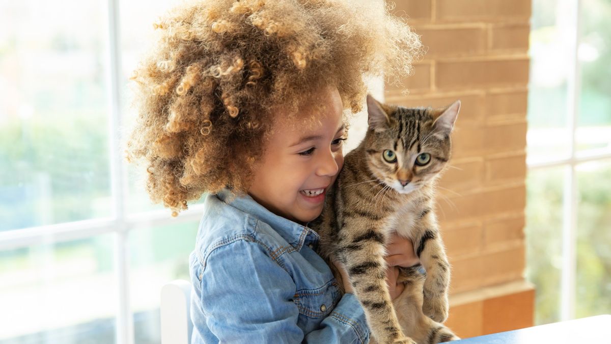 Getting Kittens 32 things to consider when you get a kitten | PetsRadar