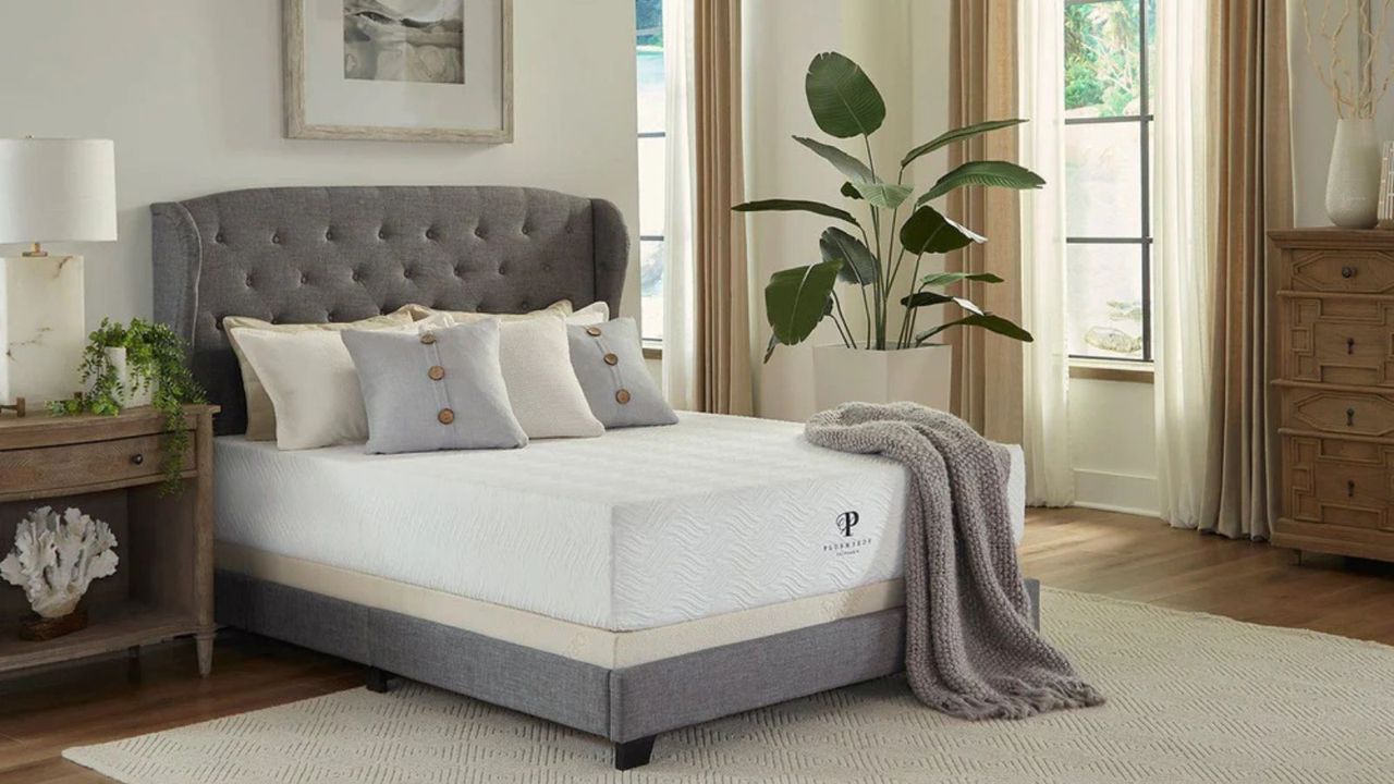 A PlushBeds Botanical Bliss Mattress on a gray bed frame; to the left, a lamp on a wood nightstand; to the right, a potted plant and a wood dresser against cream walls. 