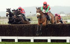 dodging-bullets-champion-chase2.jpg
