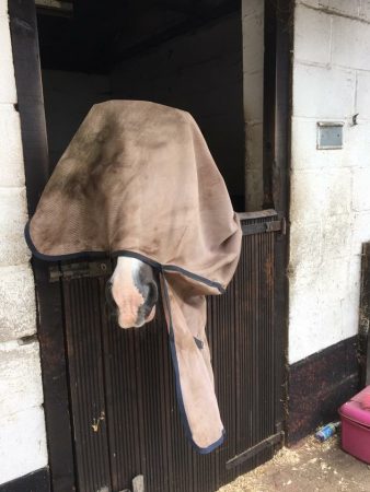 “My pony Jack is fairly insistent that he will wear his rugs however he likes. This is how he was found one morning this summer. As long as he can get to his food he’s not bothered.” — Katie Scholefield