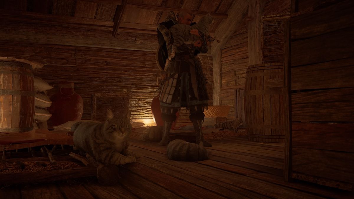 Assassin's Creed Valhalla