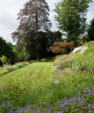 planted banks creating layered planting in a design for a sloping garden by Acres Wild Garden Design