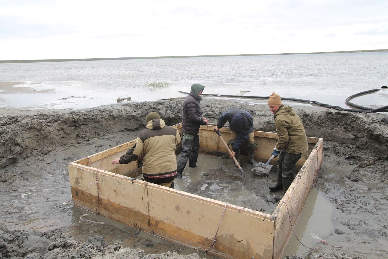 The excavation took place on the the Yamal peninsula of the Yamalo-Nenets region of Siberia.